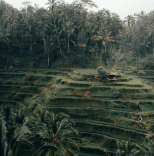 radoslav bali ca3d4FYDf84 unsplash scaled e1748700705354